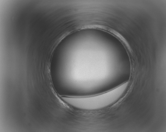 X0000071380809200606230912