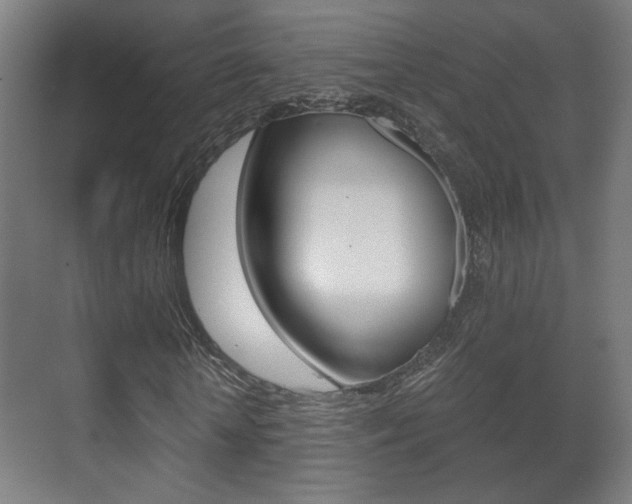 X0000071380818200606230911