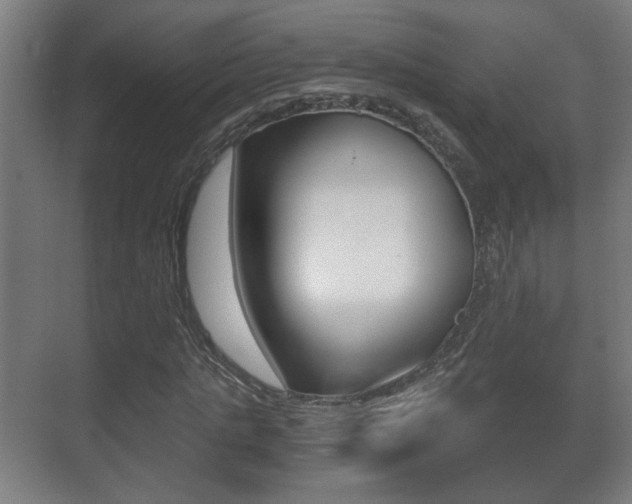 X0000071380821200606230911