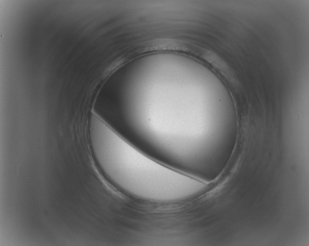 X0000071380841200606230912