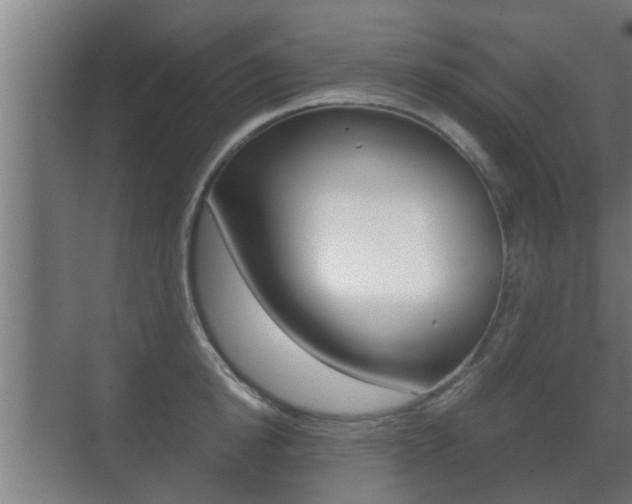 X0000071380854200606230912