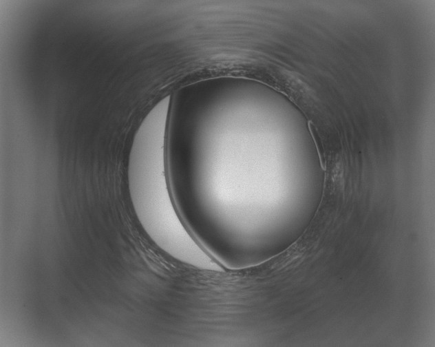 X0000071380868200606230911