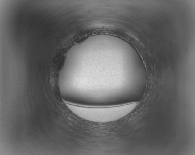 X0000071380869200606230911