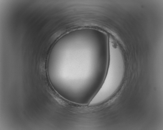 X0000071380881200606230911