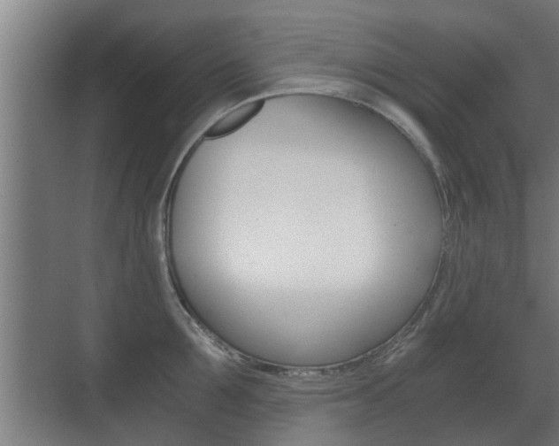 X0000071380907200606230911