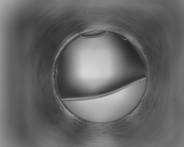 X0000071380912200606230910