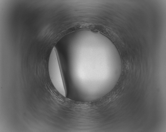 X0000071380914200606230910