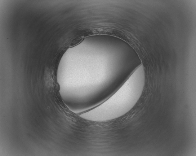 X0000071380915200606230910