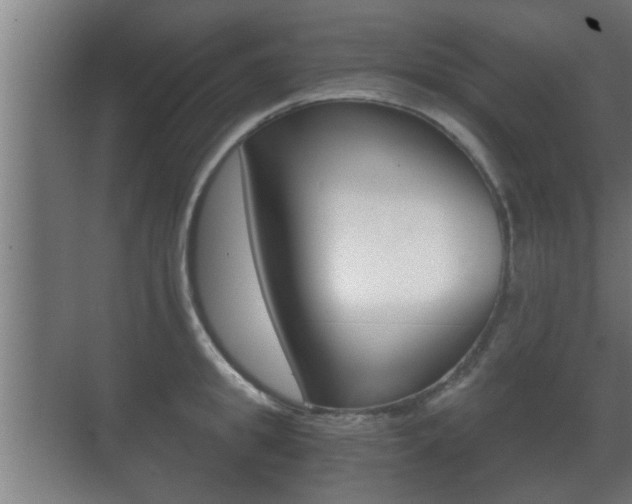 X0000071380949200606230910