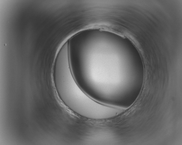 X0000071380960200606230910