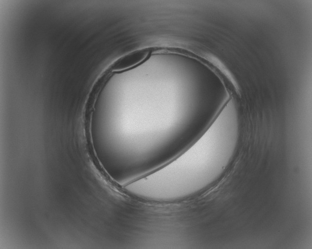 X0000071380972200606230909