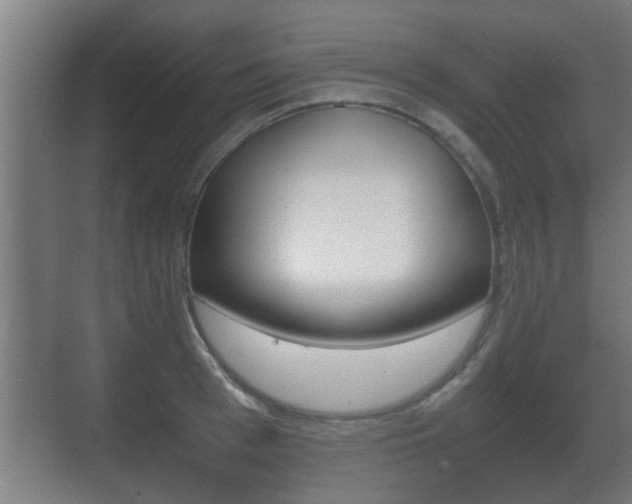 X0000071380993200606230909