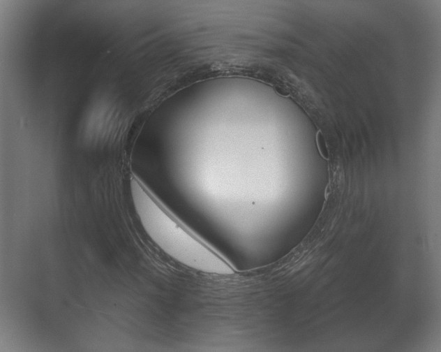 X0000071381012200606230908