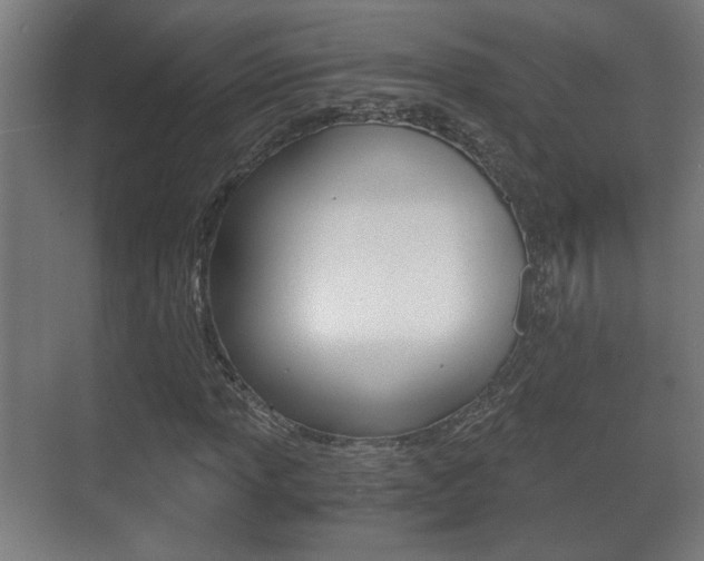 X0000071381013200606230908