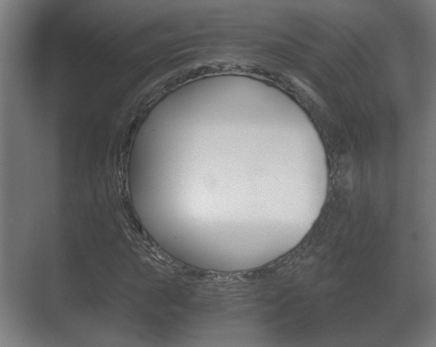 X0000071381015200606230908