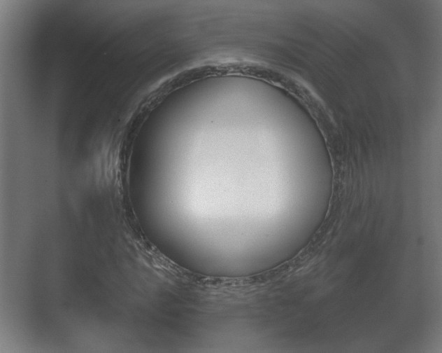 X0000071381016200606230908