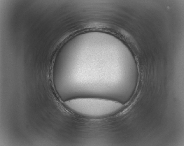 X0000071381017200606230908