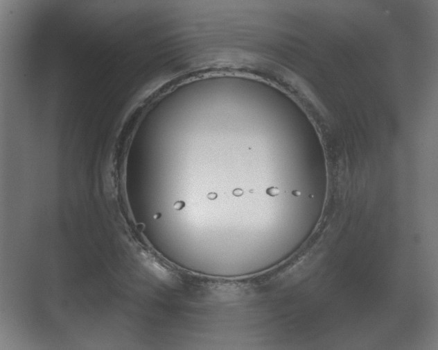 X0000071381018200606230908