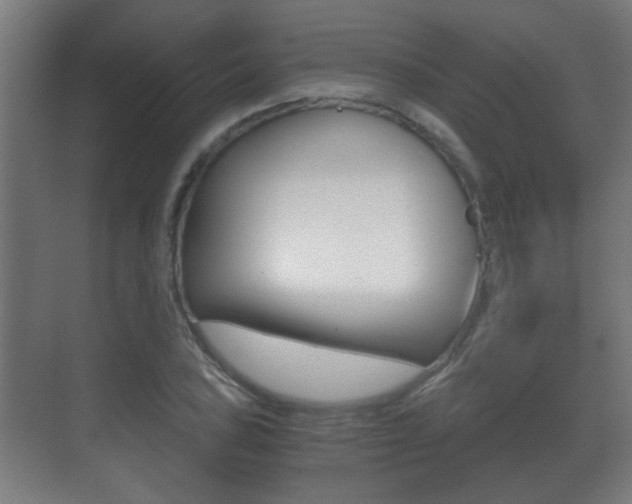 X0000071381027200606230908