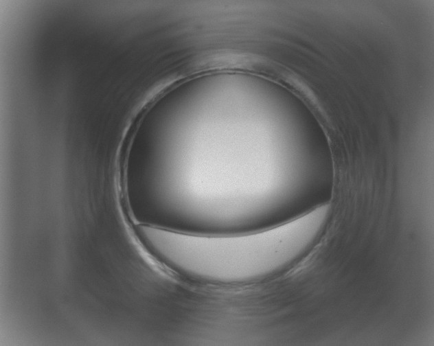 X0000071381034200606230908