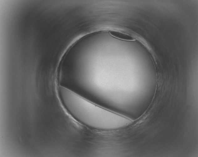 X0000071381048200606230909
