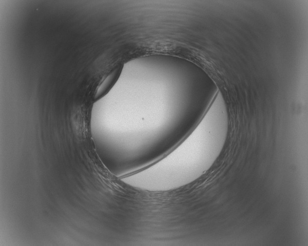 X0000071381058200606230908