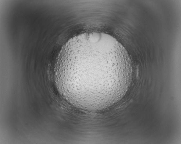 X0000071381059200606230908