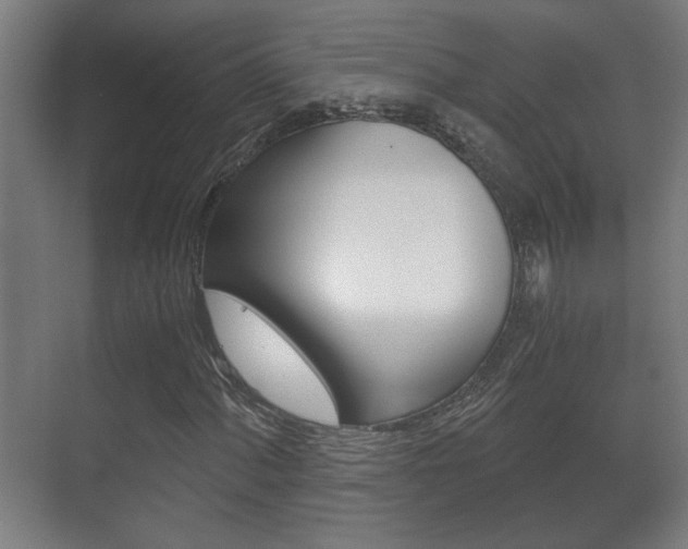 X0000071381060200606230908