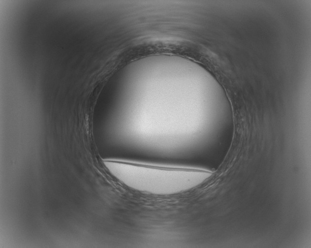 X0000071381061200606230908