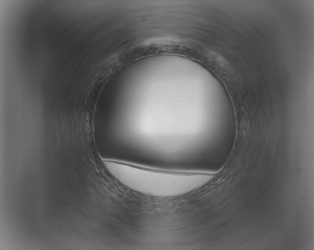 X0000071381062200606230908