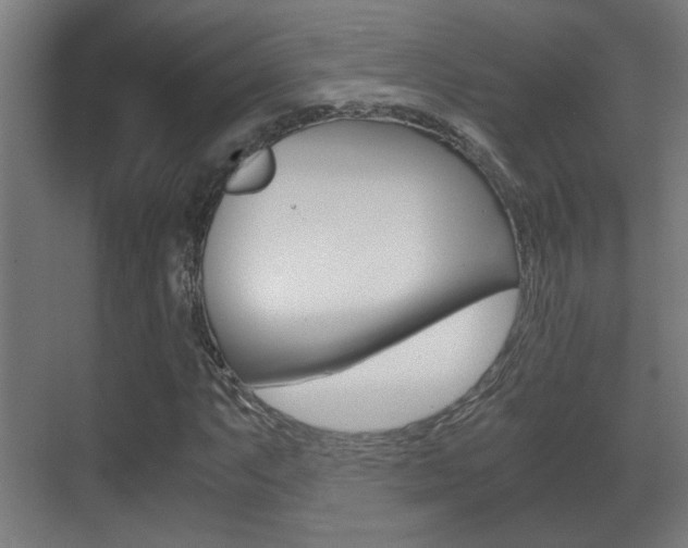 X0000071381063200606230908