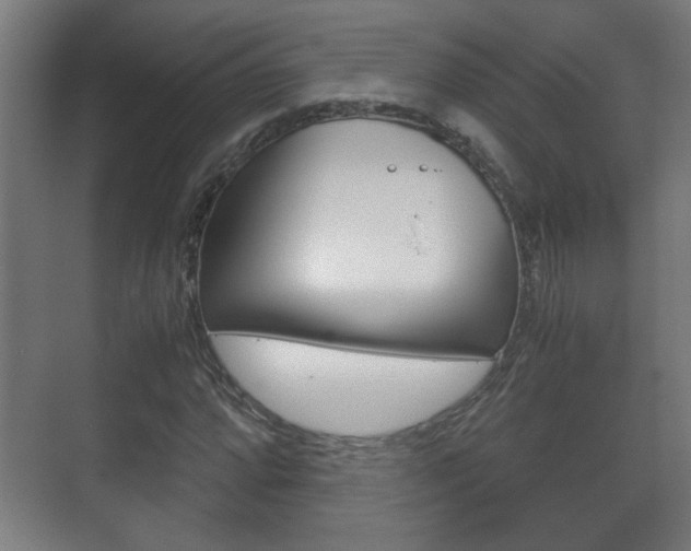 X0000071381064200606230908