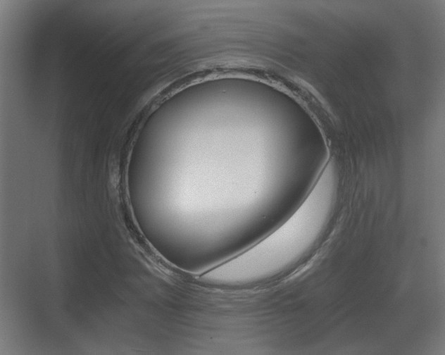 X0000071381065200606230908
