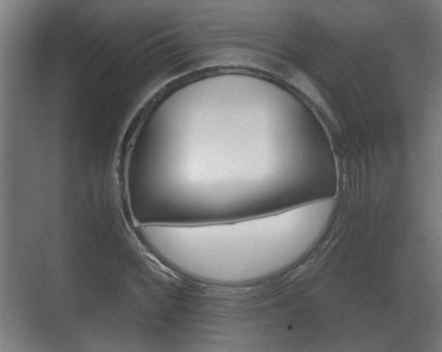 X0000071381068200606230908