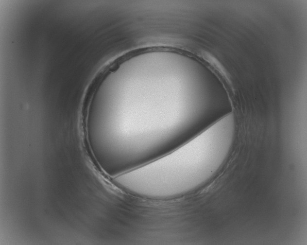 X0000071381072200606230908