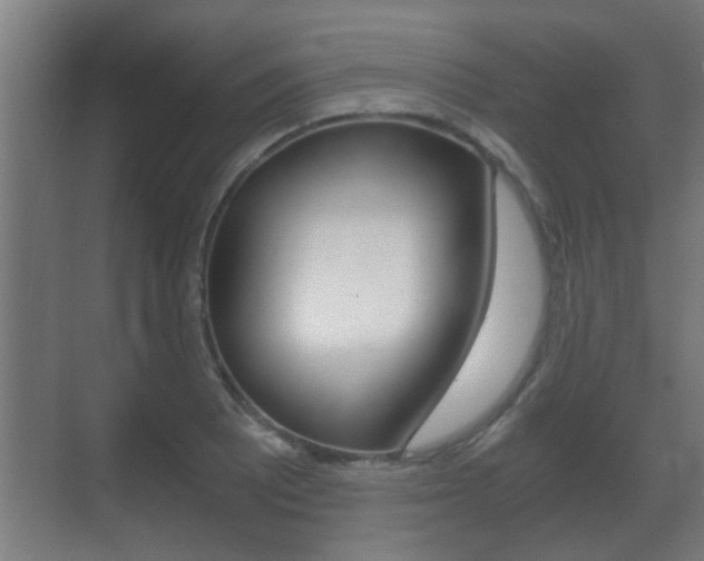X0000071381081200606230908