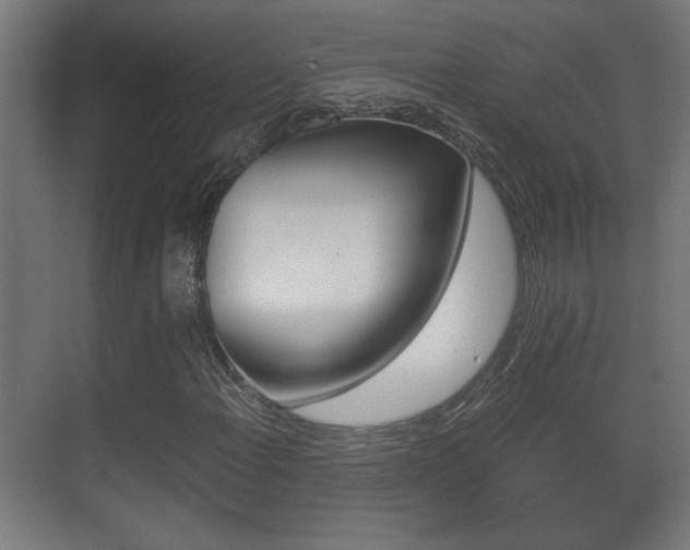 X0000071381108200606230906
