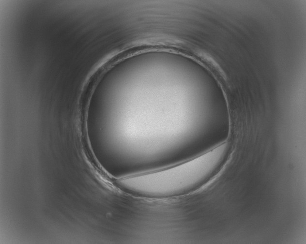 X0000071381114200606230907