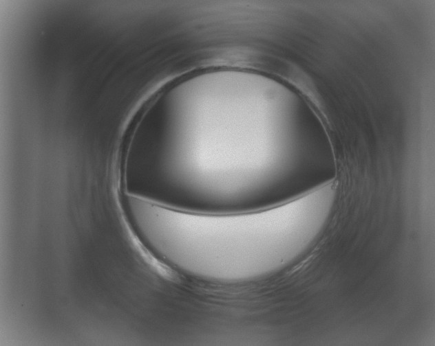 X0000071381131200606230907