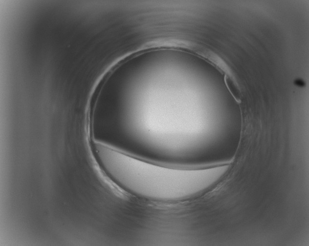 X0000071381132200606230907