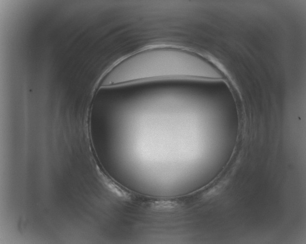 X0000071381137200606230907