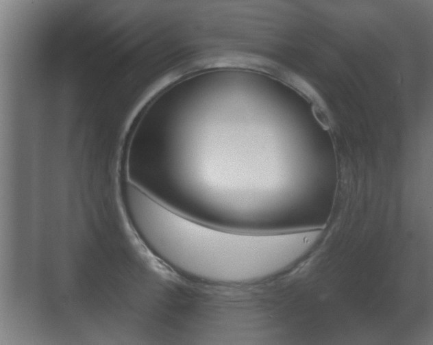 X0000071381138200606230907