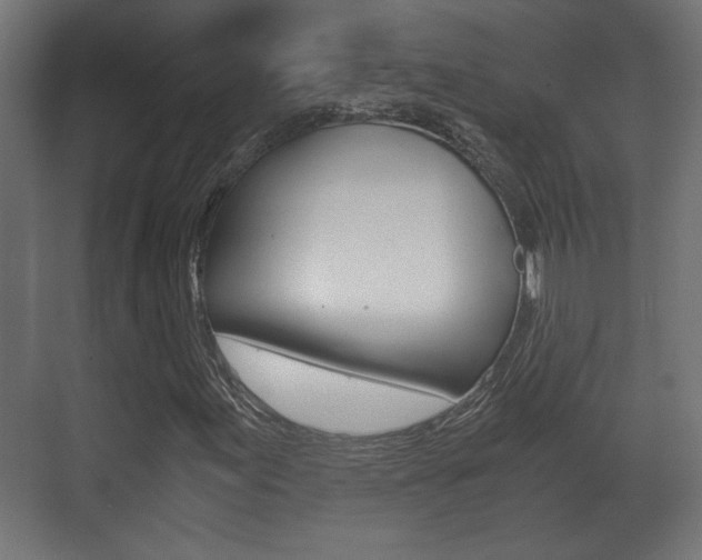 X0000071381155200606230906