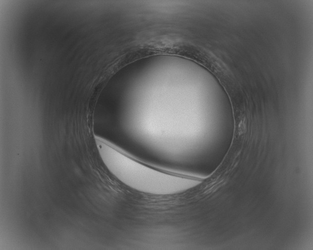 X0000071381156200606230906