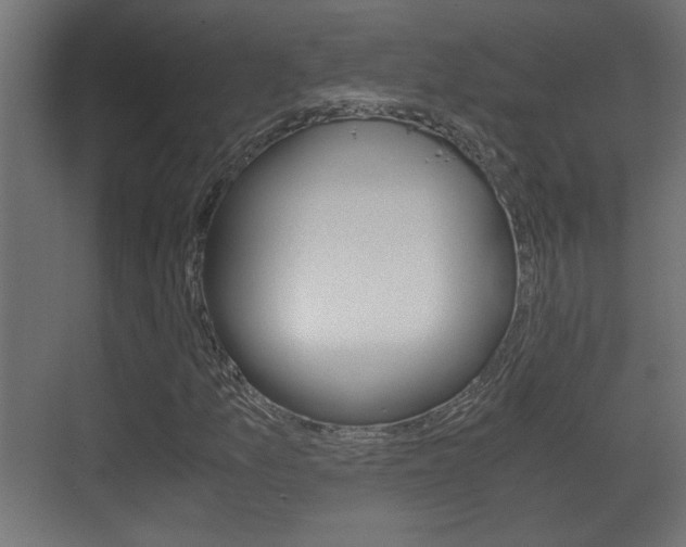 X0000071381157200606230906