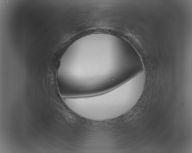 X0000071381159200606230906