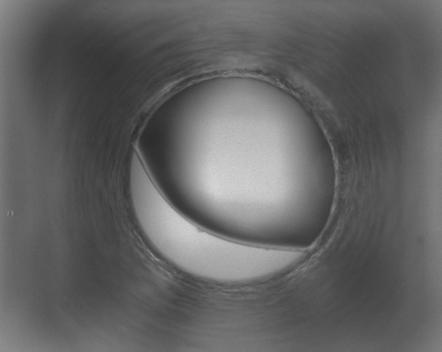 X0000071381169200606230906
