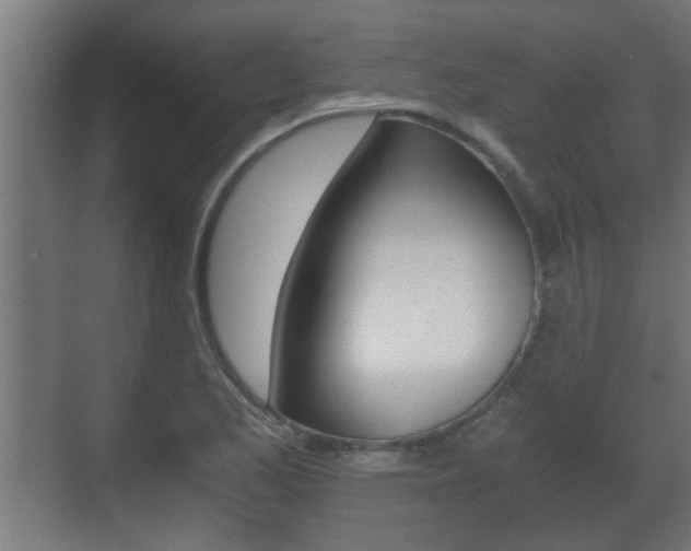 X0000071381173200606230906