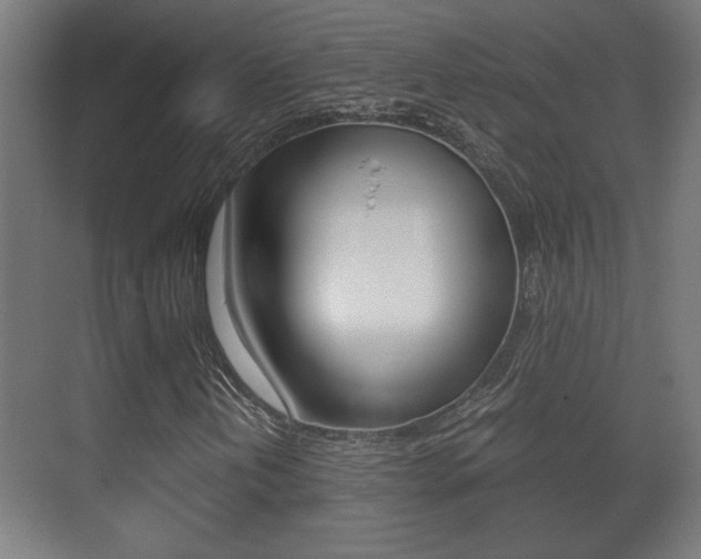 X0000071381202200606230905