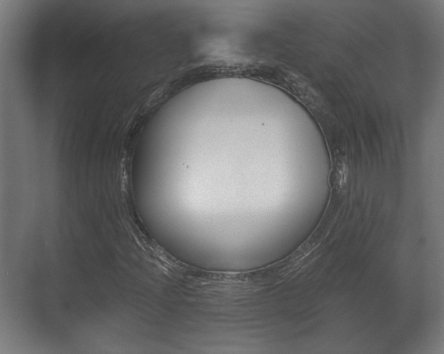 X0000071381204200606230905